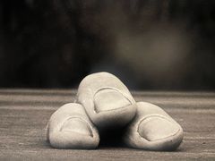 -府河摄影公园