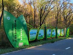 -黑龙江省森林植物园