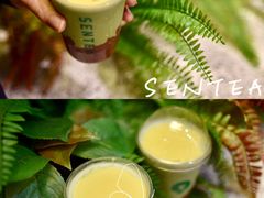 -SENTEA森茶(麦地丽日店)