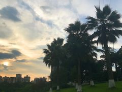 -龙头寺公园