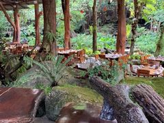 -绿光森林餐厅