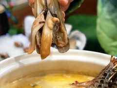 -金龙·打边炉(武进路店)