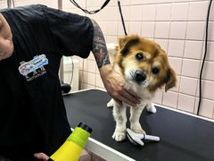 -FAELING PETS美天灵宠物(富力广场店)