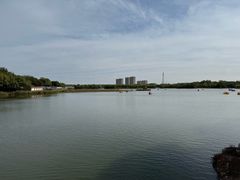 -大兴滨河森林公园