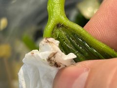 -渝信川菜(南滨店)