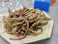 -银峰农庄·特色烧鸡·鲜无花果浸鸡