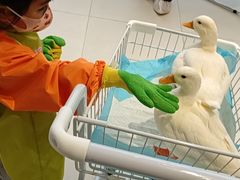 -怪兽屋·羊驼·猫咖·狗咖(俊华广场店)