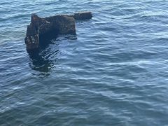 -珍珠港国家纪念馆