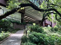 -香港大学