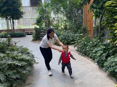 -南宫温泉水世界