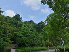-火炉山森林公园