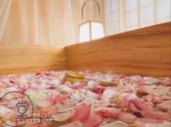 -姜美堂·蒸姜除湿の纤体美颜馆