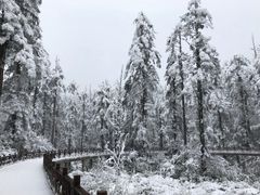 -瓦屋山景区