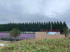 -嘉北郊野公园