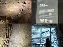-中国西峡恐龙遗迹园
