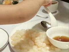 -新吉士·上海菜(浦东LCM置汇旭辉店)