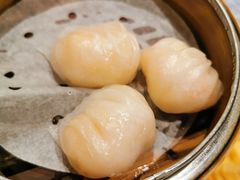 虾饺皇-潮江春(荃湾广场店)