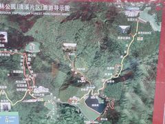 -清溪森林公园