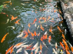 -厦门日月谷温泉渡假村