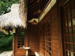 -中国茶叶博物馆(双峰馆区)