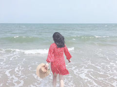 -东海岛旅游度假区