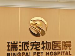 -瑞派康怡24h宠物医院·犬猫医疗中心·微创绝育(瑞景分院)