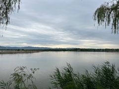 -野鸭湖国家湿地公园