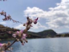 -泸沽湖里格半岛