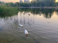 -太阳宫公园