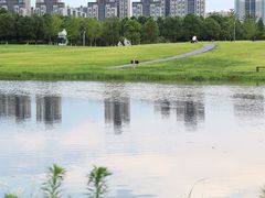 -洋湖国家湿地公园