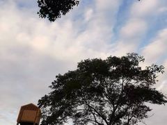 -莲花岛景区
