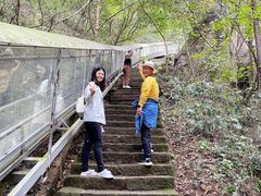 -巨石山景区