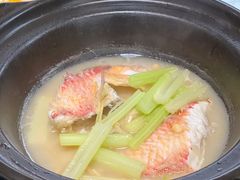 鹦哥鱼-双生不夜粥