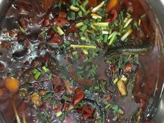 水煮活鳝-盘龙黄鳝(盘龙居店)