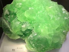 -湖南省地质博物馆