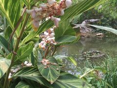 -南通洲际绿博园