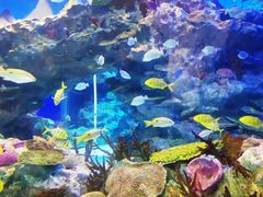 -海合安成都极地海洋公园