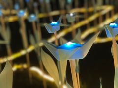 -江渔儿酸菜鱼(港湾1号店)