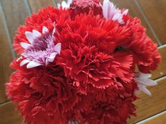 -TOMATITO(无限极荟店)