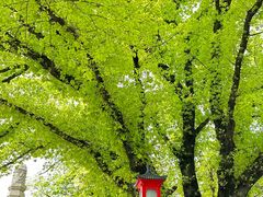 -广州中山纪念堂