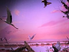 -中国湿地博物馆