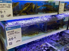 -盒马鲜生(大成店)