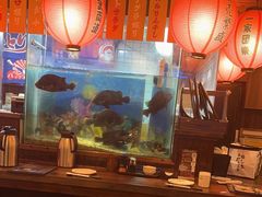 -鸟鹏烧鸟居酒屋(熙龙湾店)