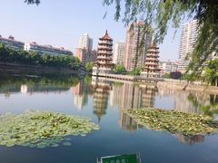-宝岛公园