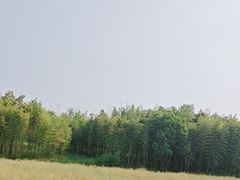 -良渚古城遗址公园