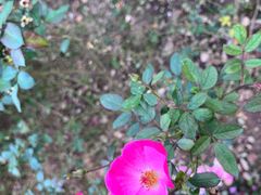 -杭州城北体育公园