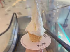 -野人先生Gelato(上海长宁龙之梦店)