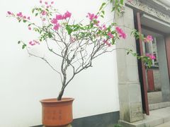 -浙江大学医学院附属第一医院(庆春院区)