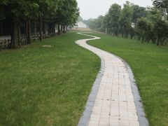 -同里国家湿地公园