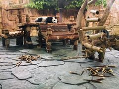 -泉州海丝野生动物世界